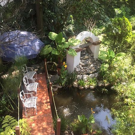 Villas Sol Y Luna Coyoacan Meksyk Zewnętrze zdjęcie