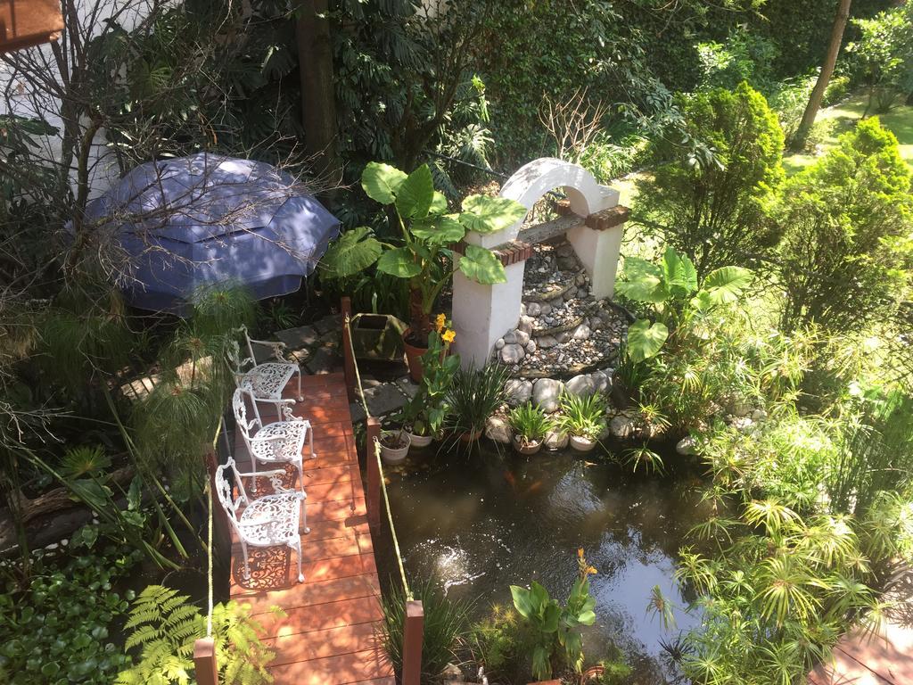 Villas Sol Y Luna Coyoacan Meksyk Zewnętrze zdjęcie